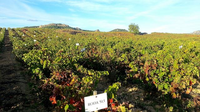 La Rioja winery Roda Haro