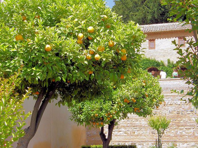 gardens parks grounds spain spanish granada