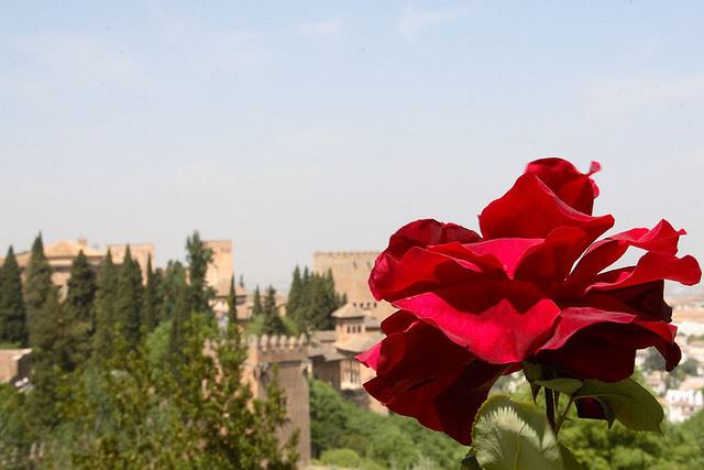 gradens parks grounds spain spanish granada