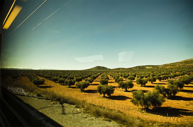 hidden Andalusia Spain train journeys