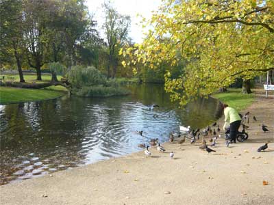 vondelparkpond