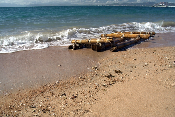 survivor magnetic island