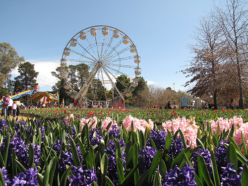 floriade canberra