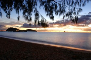 palm cove beach