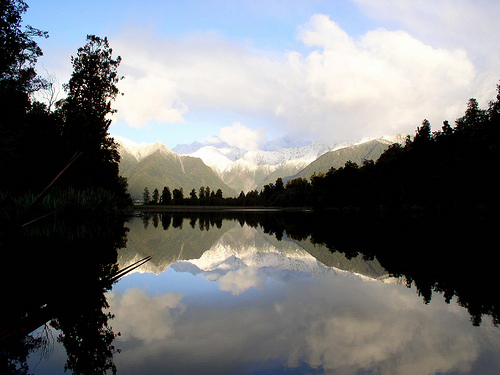 new zealand nature