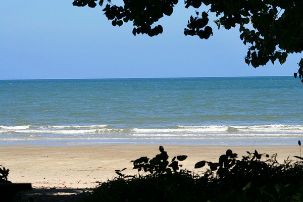 Cape Tribulation Beach