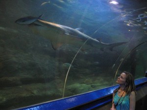 oceanworld manly sydney