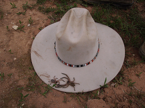 akubra