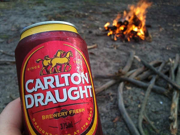 carlton draught