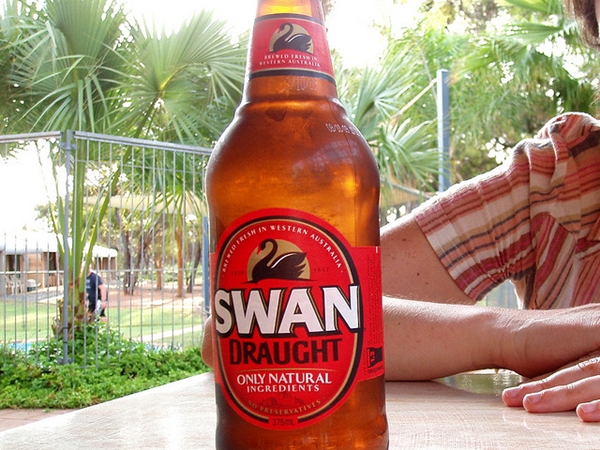 swan draught