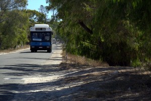 rottnest bus