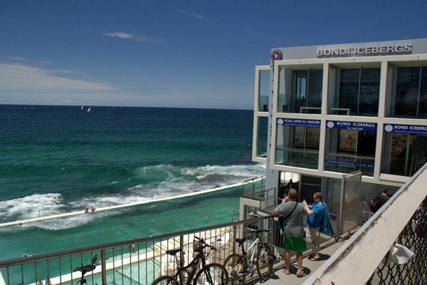 bondi icebergs