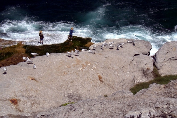 fishermen at bondi