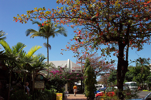 port douglas