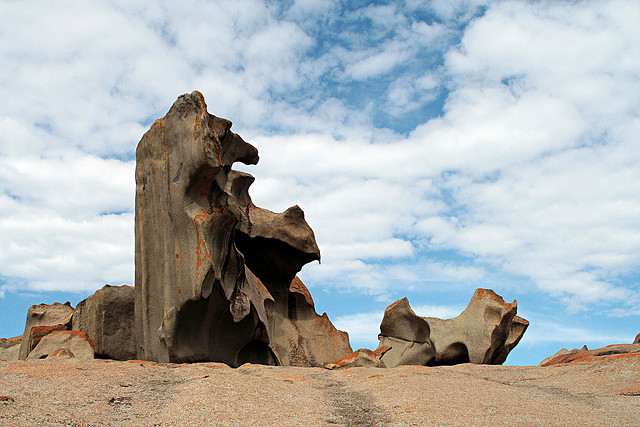 kangaroo island