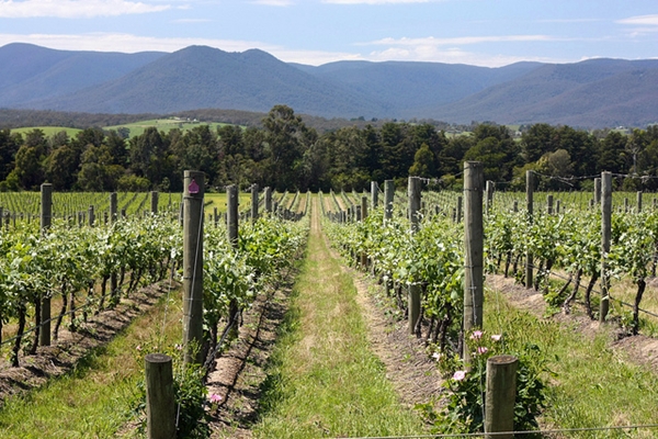 Yarra Valley