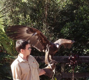 currumbin wildlife sanctuary