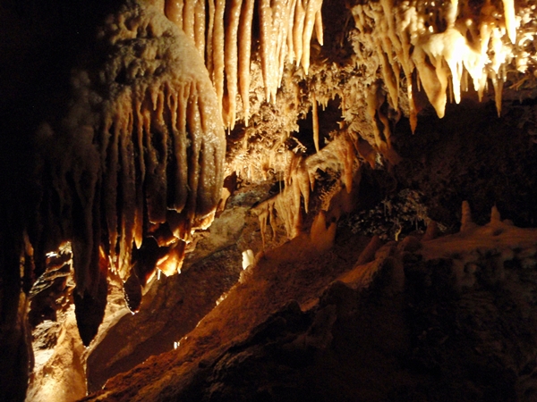 jenolan cave