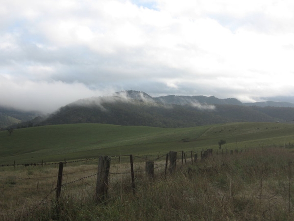 blue mountains