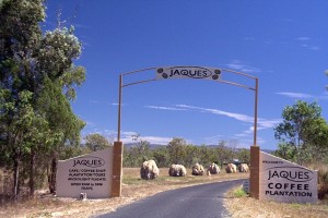 Jaques Coffee Plantation