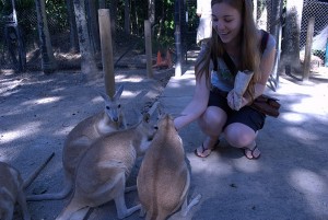 brooke feeding wallabies