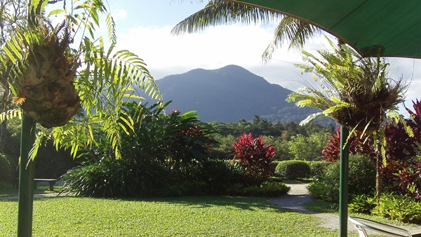 view from daintree ice cream company