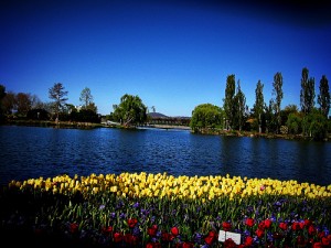 Floriade Festival