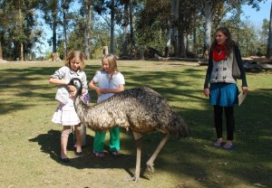 Lone Pine Emu