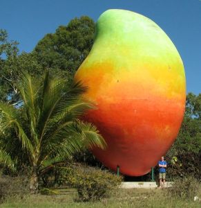 bigmango