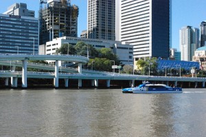 CityCat