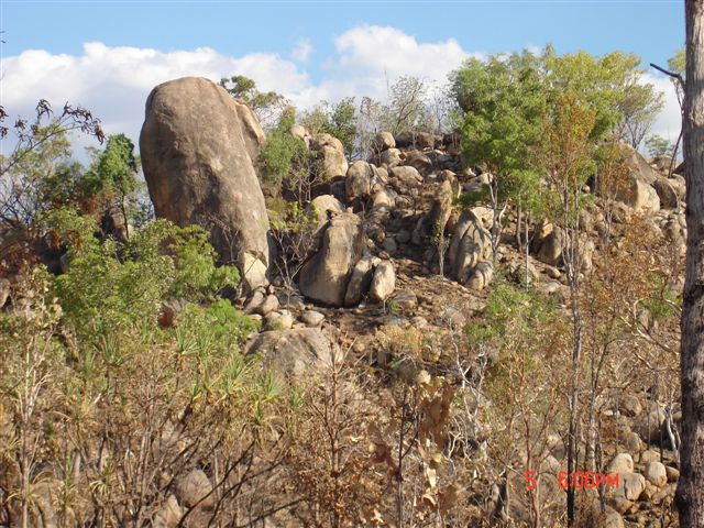 Kakadu