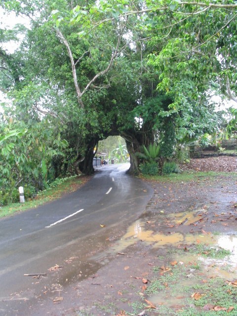 mini-rotation-of-mini-pura-rambut-siwi-nwbali-173