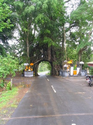 mini-rotation-of-mini-pura-rambut-siwi-nwbali-159