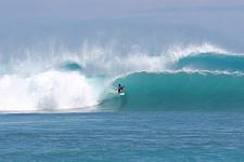 mentawai