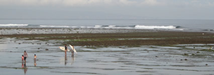 serangan surfing