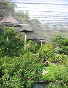 butterfly park bali