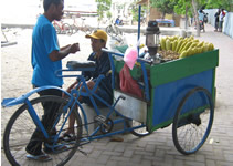 corn seller in bali