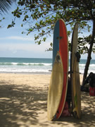 surfboards