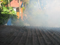 mosquito fogging