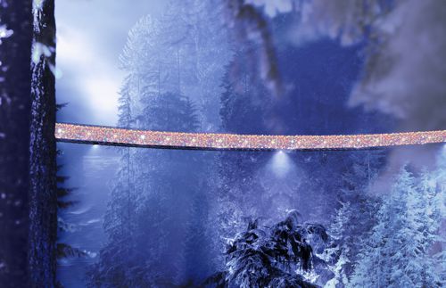 Canyon Lights, Capilano Suspension Bridge, North Vancouver, BC