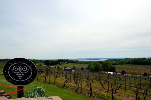 The vineyards and bay