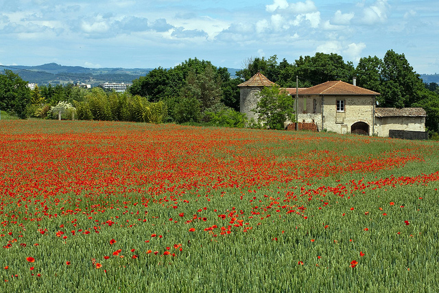 free things to do in provence