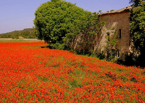 provence travel guide