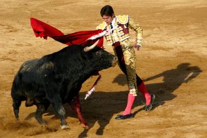 bullfighter