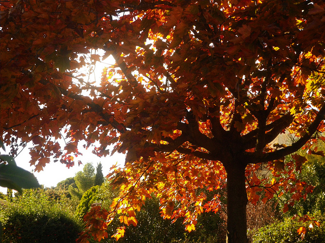 fall vacation in france