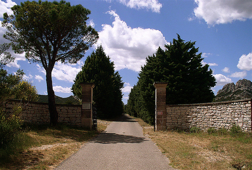 provence wine tour