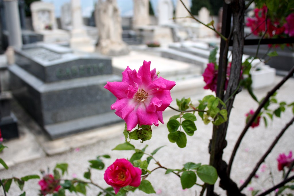 Cemeteries in Nice France