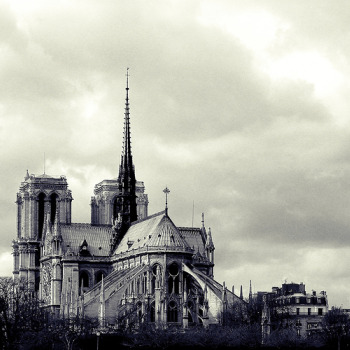 notredame2