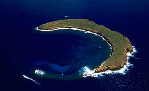 molokini