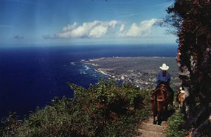 mule ride